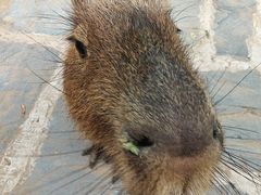 -南戴河国际娱乐中心