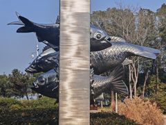 -长广溪湿地公园