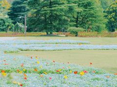 -上海滨江森林公园