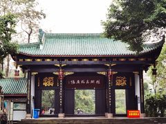 -桂湖森林公园