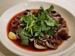生腌血蚌-迈姨·潮州菜(麓湖公园店)