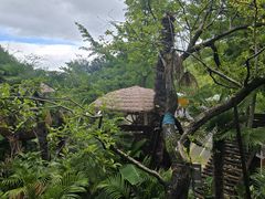 -宜兴龙背山森林公园
