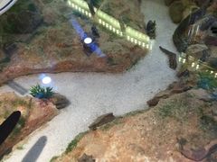 -九九私厨(石溪店)