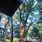 周末夜，与好友共餐记