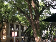 -星巴克臻选(广州沙面店)