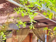 -本处·素食·融合料理(南油店)