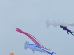 -长岛南北长山旅游景区