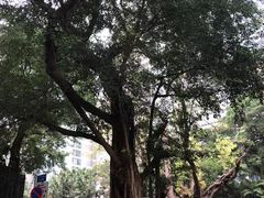 -圣约翰座堂