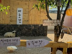 -HERRE·FARM 赫尔露营农场·团建聚会包场