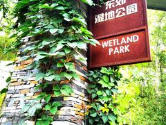-东郊湿地公园