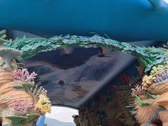 -珠海长隆海洋王国