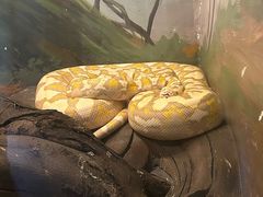 -昆明动物园
