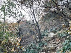 -惠山国家森林公园
