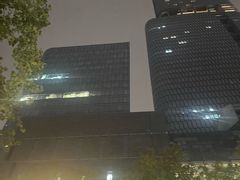 -紫峰大厦