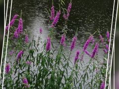 -满都海公园