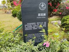 -东莞植物园