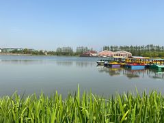 -上海长兴岛郊野公园