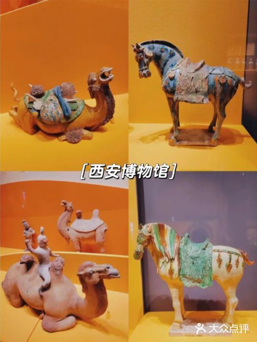 陕西历史博物馆图片