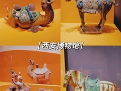 -陕西历史博物馆