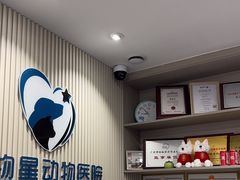 -宠物星动物医院·眼科·异宠·猫科(江南大道总院)