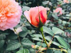 -人民公园(罗湖区)