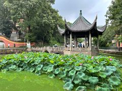 -岳麓山风景名胜区