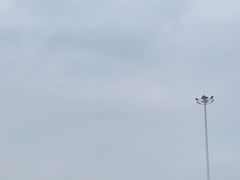 -窦店服务区-停车场