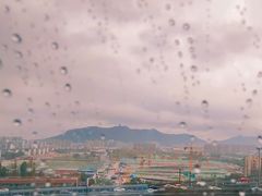 -长藤鬼校(龙翔店)