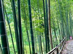 -千泷沟大瀑布旅游区