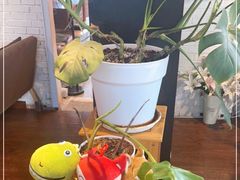 -花与咖啡馆(金星楼店)