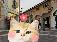 -佛罗伦萨小镇广佛名品奥特莱斯(疏港路店)