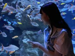 -成都浩海立方海洋公园