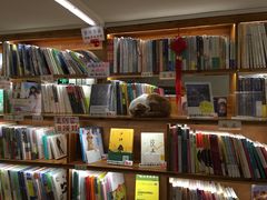 -猫的天空之城概念书店(西塘古镇店)