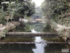 -成都市活水公园
