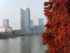 -运河游船(武林门码头)