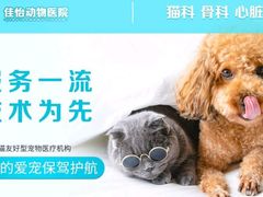 -佳怡动物医院·平价24小时·猫专科骨外科