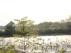 -盘龙城国家考古遗址公园