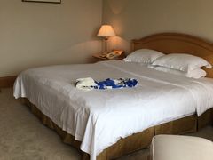 -南京维景国际大酒店(南京博物院店)