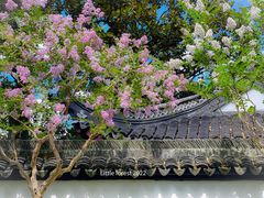 -上海醉白池公园
