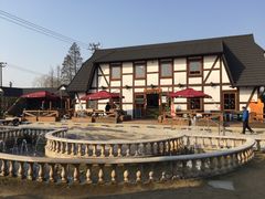 -金山农民画村-枫泾波兰倒置屋