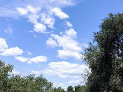 -北京张裕爱斐堡酒庄