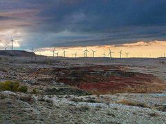 -新疆风味冷水鱼庄(友谊峰路店)