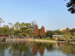 -汕头市小公园