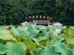 -古田会议纪念馆
