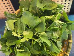 -鲜念蒸汽石锅鱼(红山6979店)
