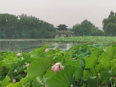 -蔴将·川菜(黄龙万科店)