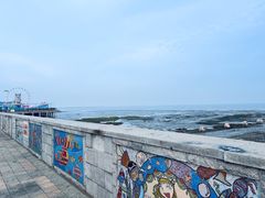 -碧海金沙