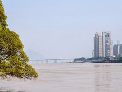 -江心屿景区