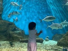 -福州罗源湾海洋世界旅游区