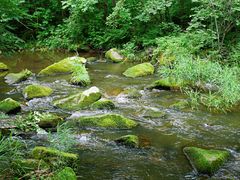 -茅兰沟国家森林公园